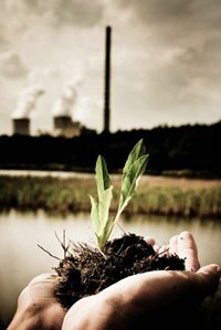 environmental-stewardship